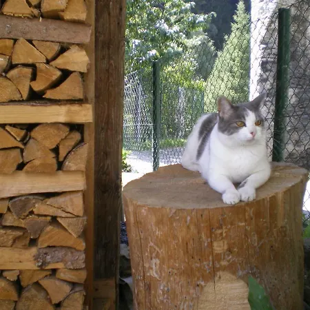 Apartman Casa Zebrusius - Bepi&piera's *